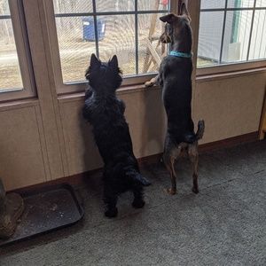 Meet your Posher, Jane